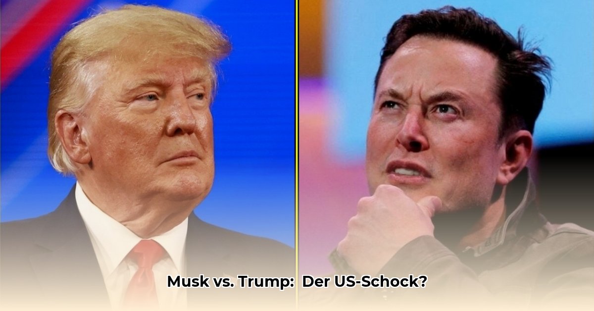 elon-musk-donald-trump